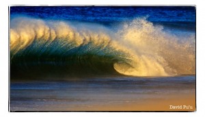 Santa Ana Wave PCH