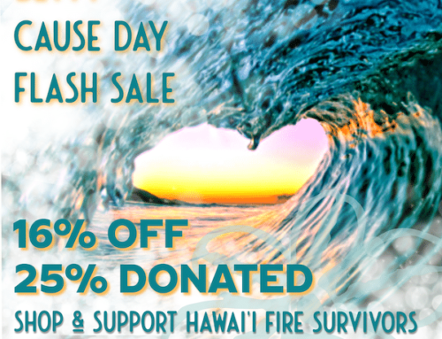 Betty Cause Day: Help Hawai’i Fire Survivors + World Central Kitchen Meal Relief