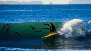 | Sea Glass Jewelry | Betty Belts annalie-surfing-with-seaweed-in-wave